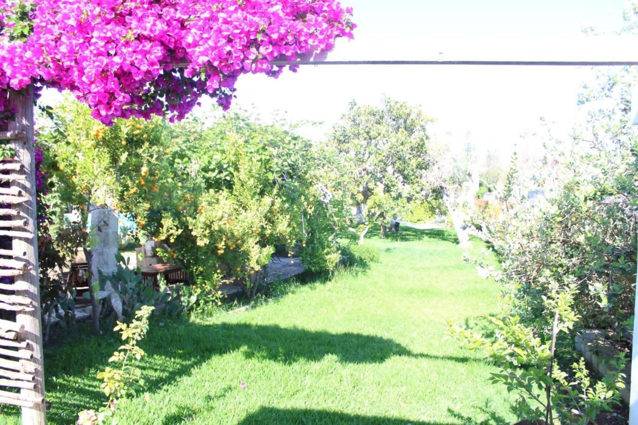 Villa Lisa San Foca Eksteriør billede